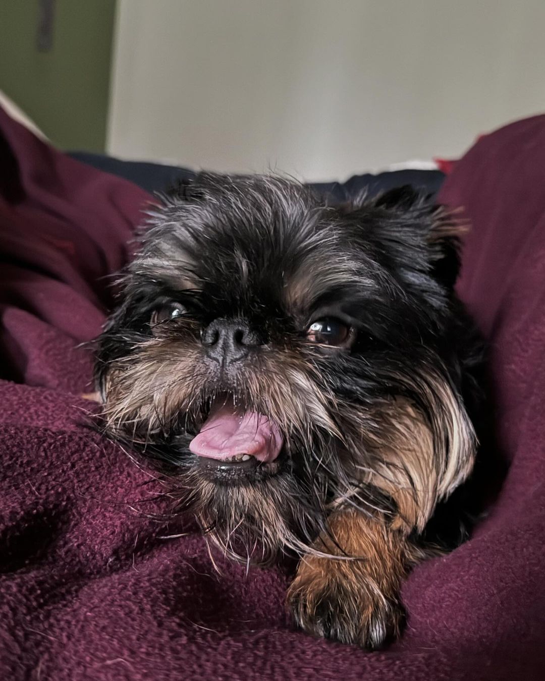 Ектор Хіменес-Браво наважився на поповнення в родині: шеф-кухар зачарував зворушливими фото